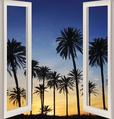 Фотообои с окном Пальмы на закате