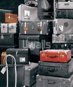 чемоданы, сумки, сундуки, саквояжи